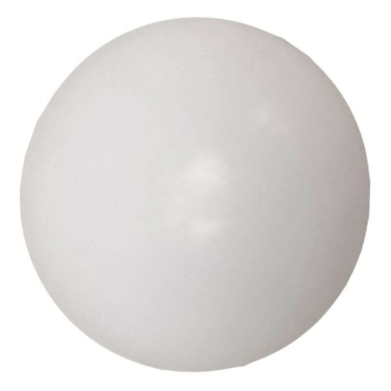 White Ball Deutscher Meister: 
